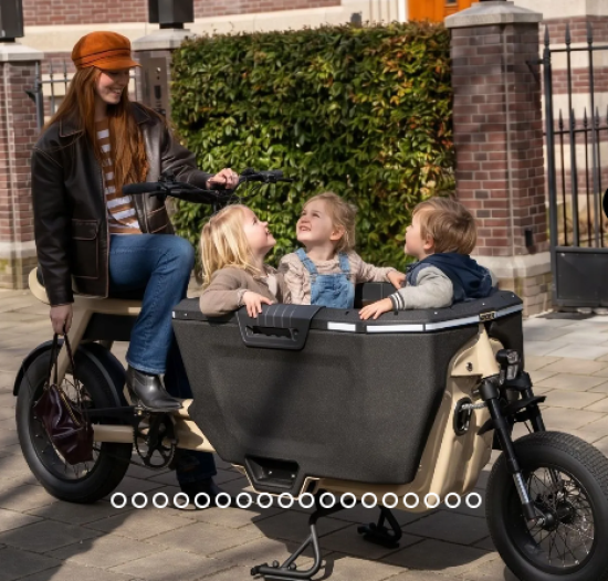 Elektro Transportfahrrad  CargoX, Familie, 2 Rad, mit Code, Hydr. Bremsen,  versch. Farben